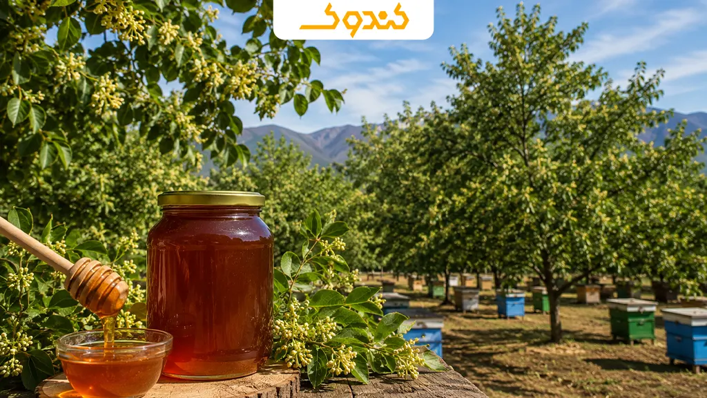 عسل چند گیاه بهتر است یا تک گل؟