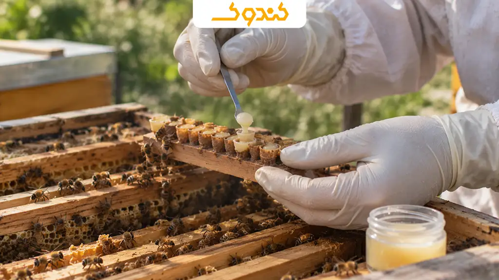 ژل رویال خالص بهتر است یا ترکیب ژل رویال و عسل؟