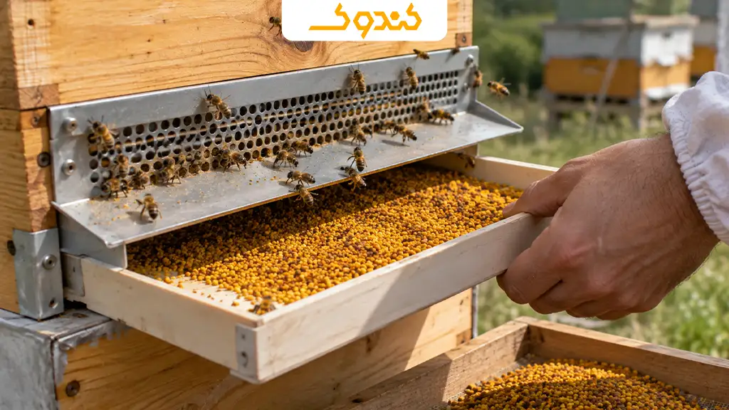 گرده گل چیست و چگونه مصرف میشود؟