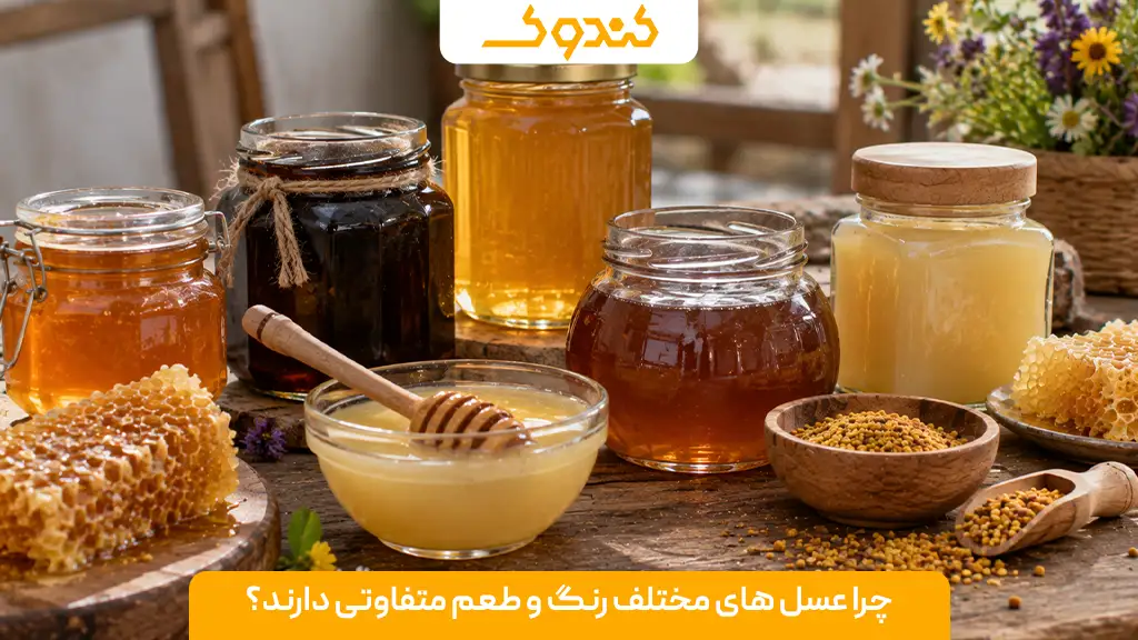چرا عسل ‌های مختلف رنگ و طعم متفاوتی دارند؟